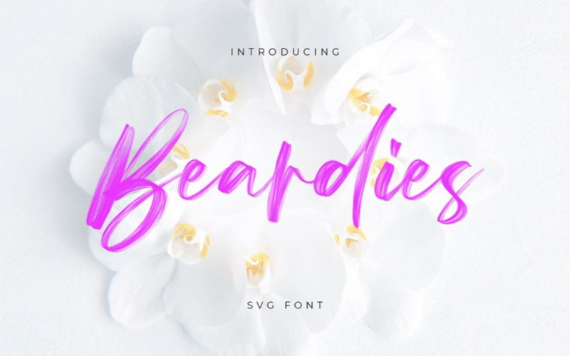 Beardies Brush Font