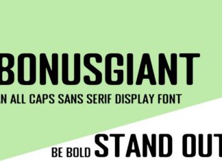 BonusGiant Sans Serif Font
