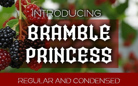 Bramble Princess Display Font