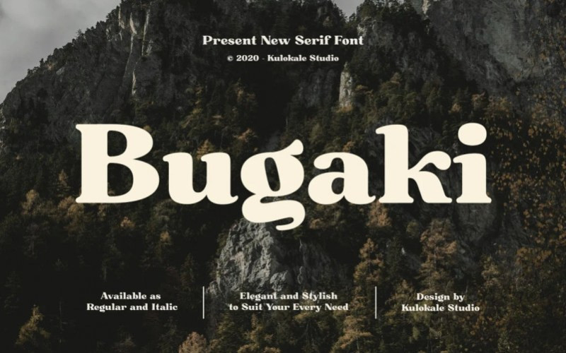 Bugaki Serif Font