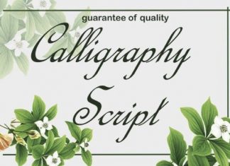 Calligraphy Script Typeface