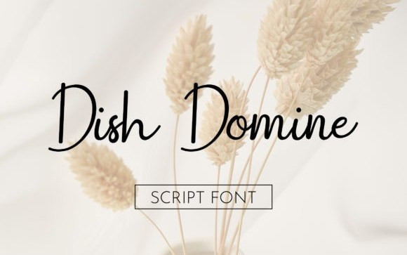 Dish Domine Script Font