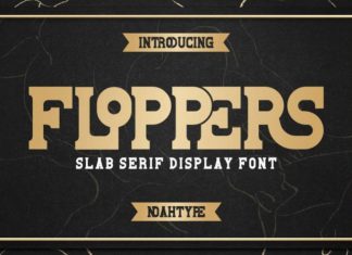 Floppers Slab Serif Font