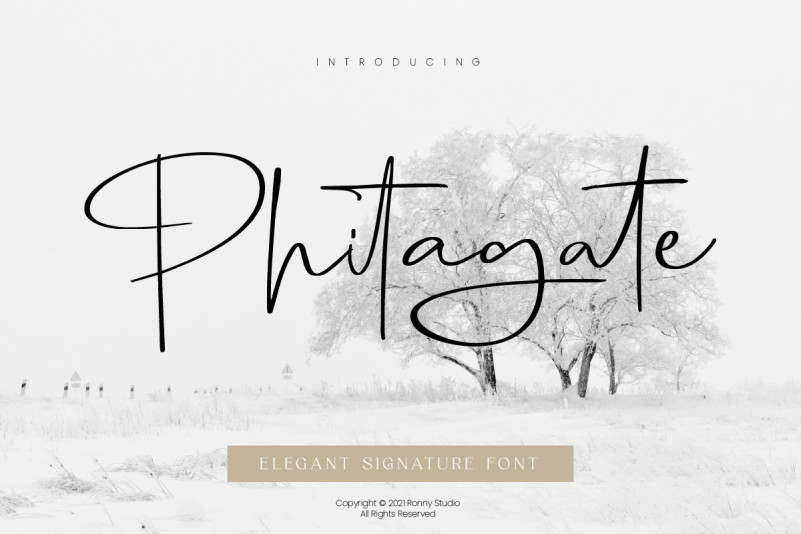 Phitagate Handwritten Font