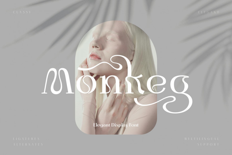 Monkeg Serif Font