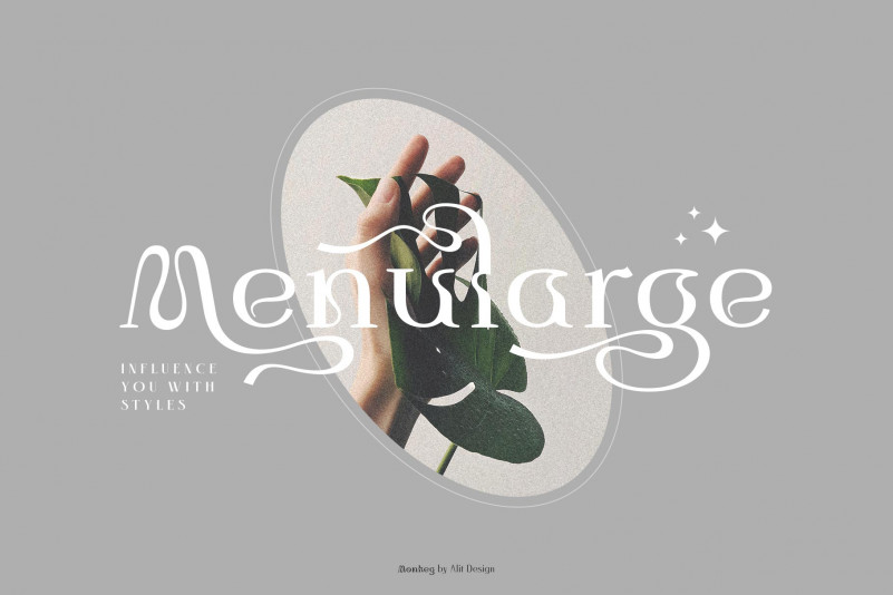 Monkeg Serif Font