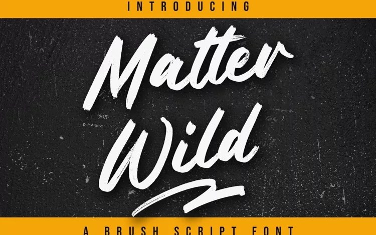 Matter Wild Brush Font