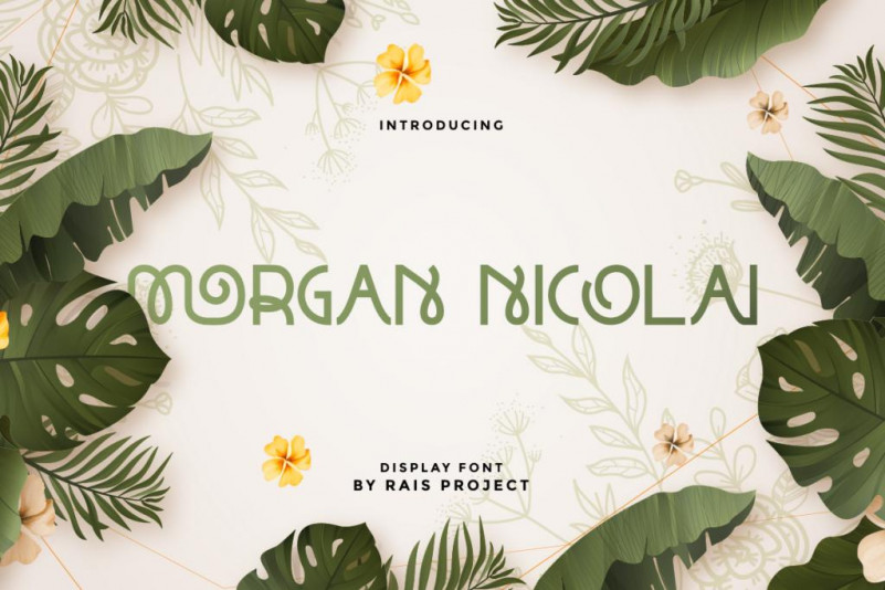 Morgan Nicolai Display Font