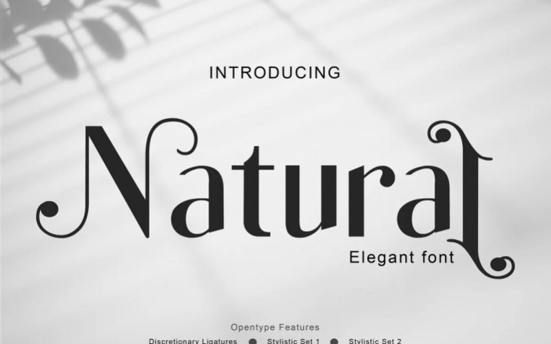 Natural Sans Serif Font