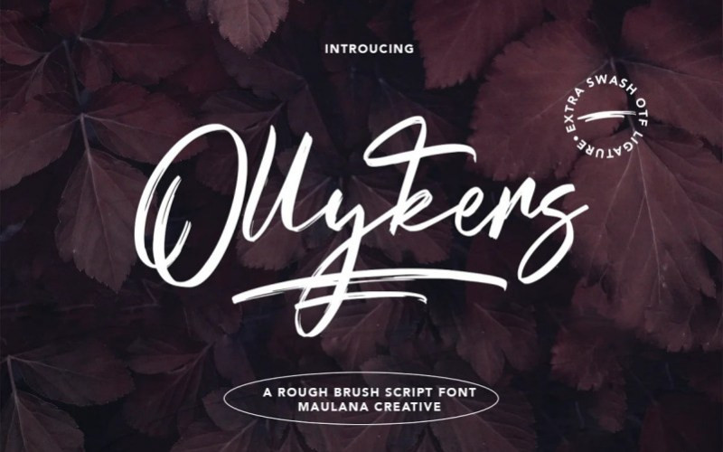Ollykers Brush Font