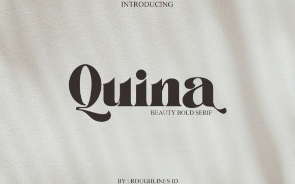 Quina Serif Font