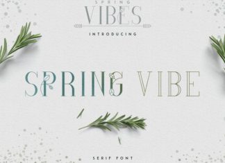 Spring Vibe Serif Font