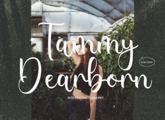 Tammy Dearborn Script Font
