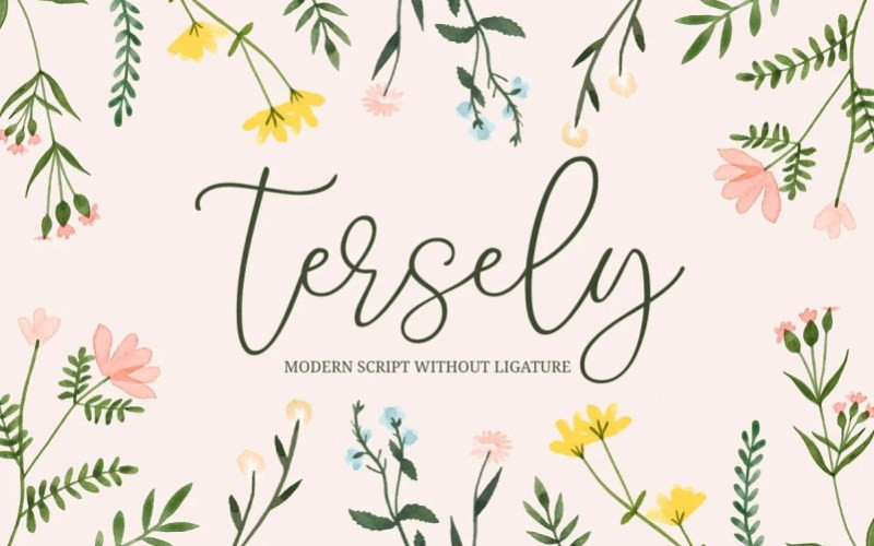 Tersely Script Font