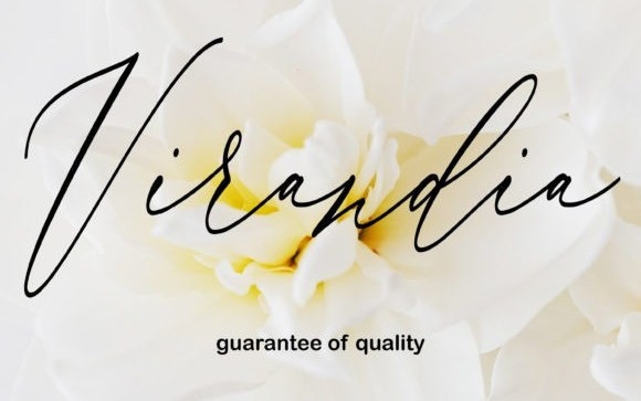 Virandia Script Font