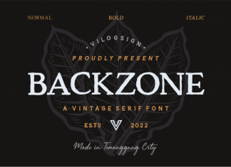 Backzone Display Font