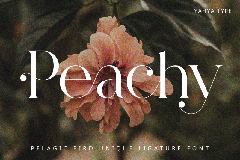 Pelagic Bird Serif Font