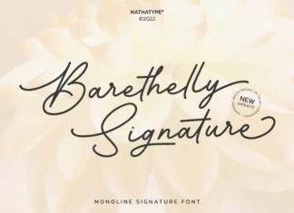 Barethelly Signature Script Font
