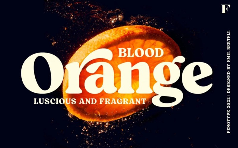 Blood Orange Serif Font
