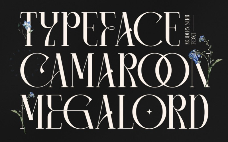 CAMAROON MEGALORD Serif Font
