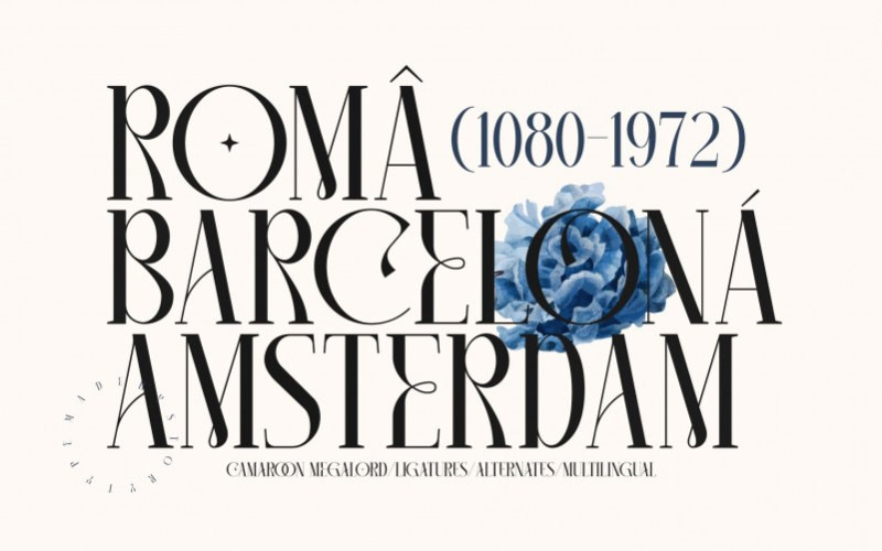 CAMAROON MEGALORD Serif Font