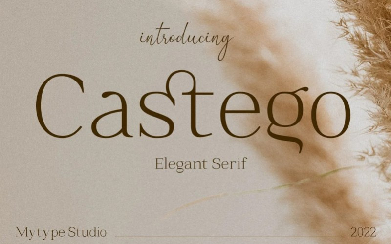 Castego Serif Font