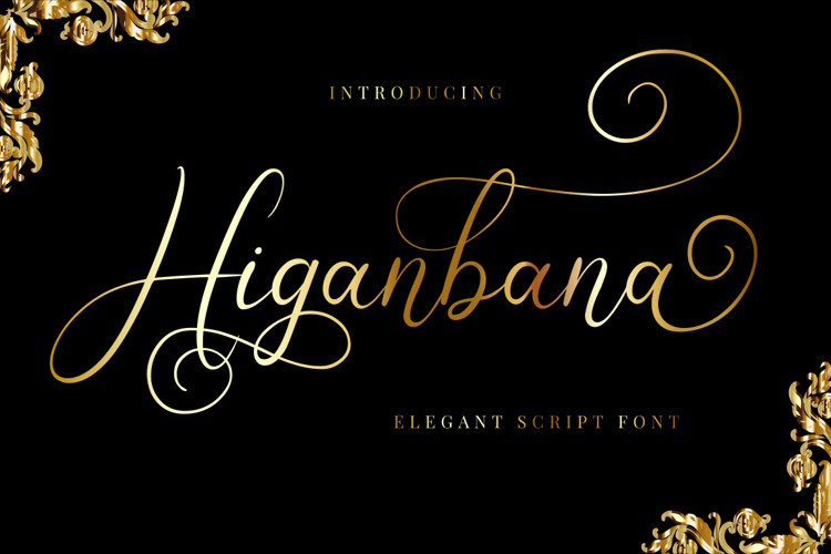 Higanbana Calligraphy Font