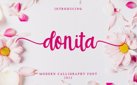 Donita Script Typeface