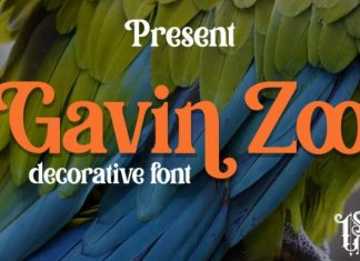 Gavin Zoo Serif Font
