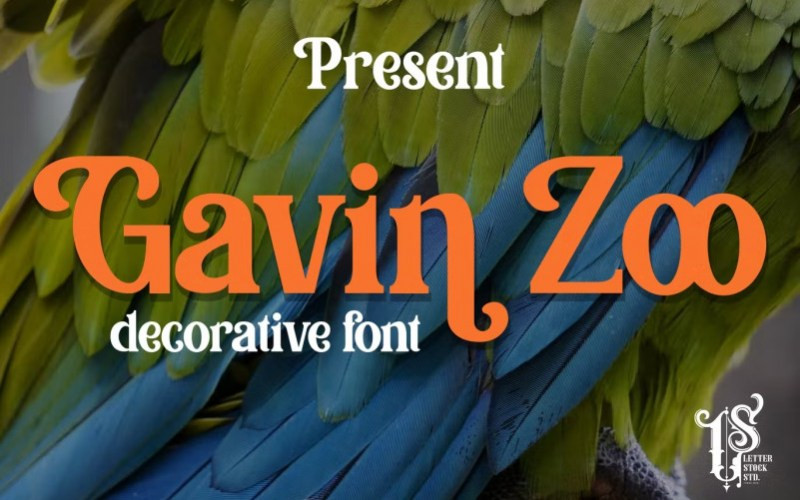 Gavin Zoo Serif Font