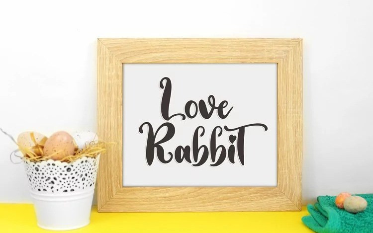 Love Rabbit Script Font