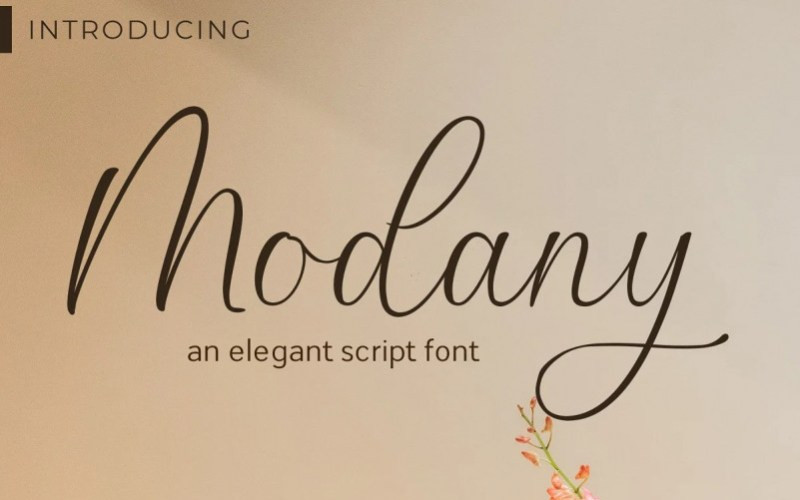 Modany Script Font