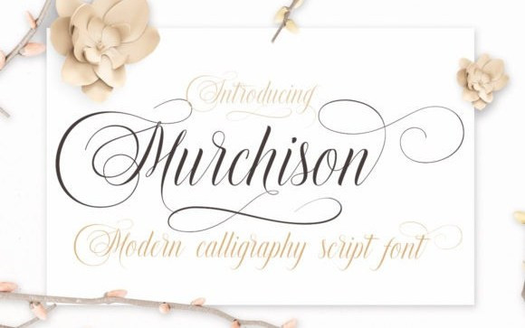 Murchison Calligraphy Font