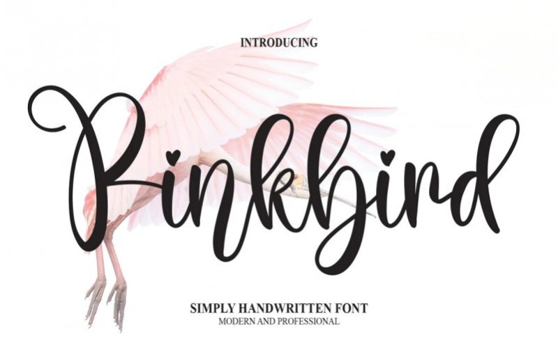Pinkbird Script Font