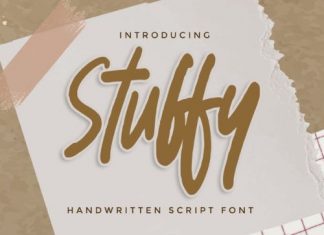 Stuffy Script Font