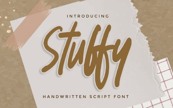 Stuffy Script Font
