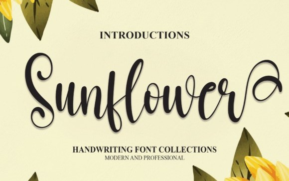 Sunflower Script Typeface