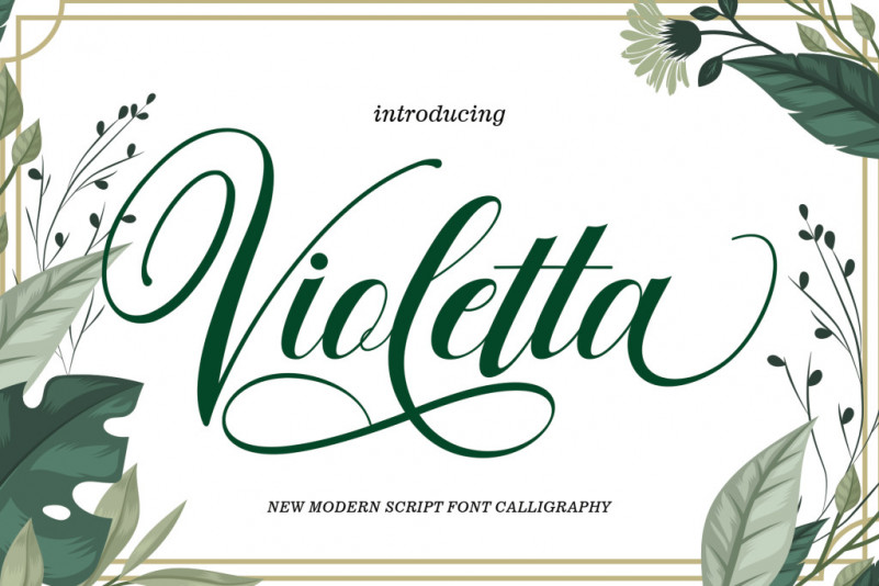 Violetta Calligraphy Font