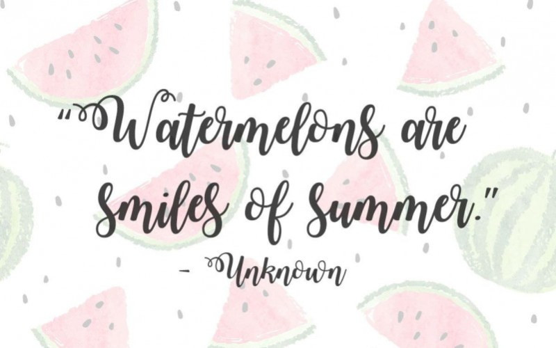 Watermelon Calligraphy Font