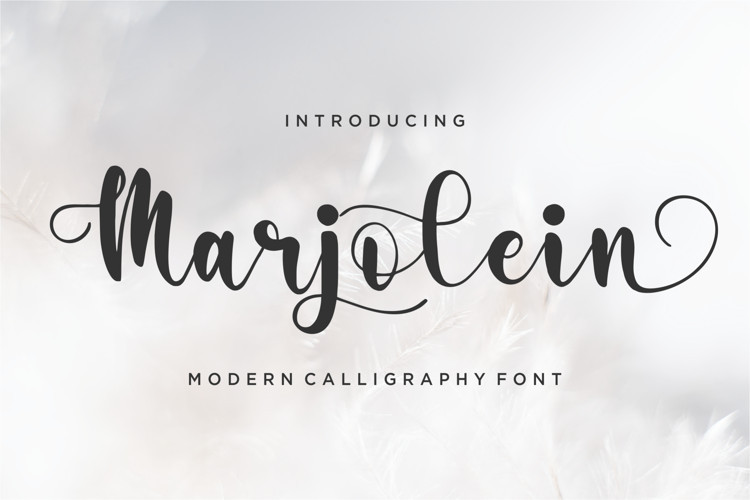 Marjolein Script Font