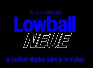 Lowball Neue Sans Serif Font