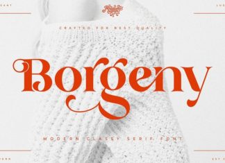 Borgeny Serif Font