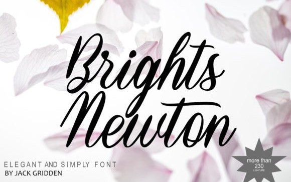 Brights Newton Handwritten Font