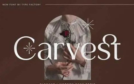 Carvest Sans Serif Font