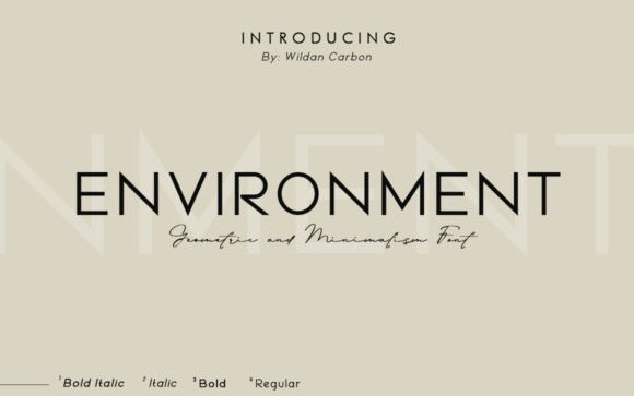 Environment Sans Serif Font