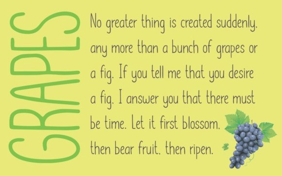 Lemon Grapes Display Font