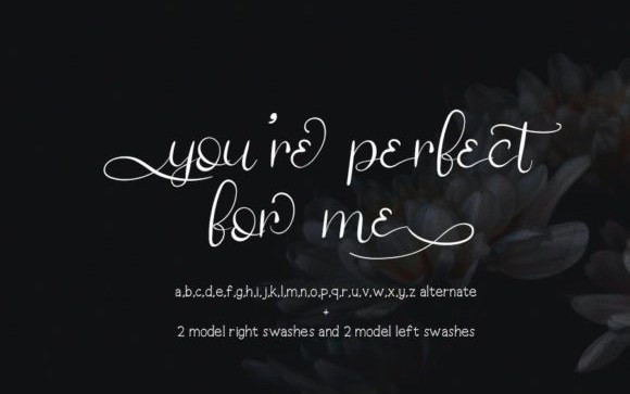 Limited Masterpiece Calligraphy Font