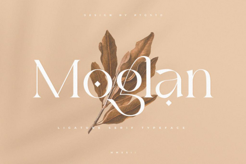 Moglan Serif Font