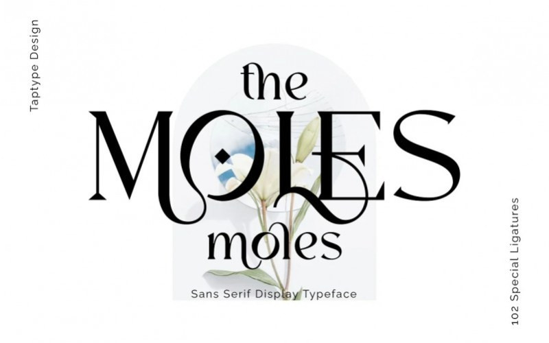 Moles Serif Font