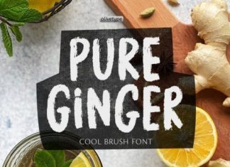 Pure Ginger Display Font